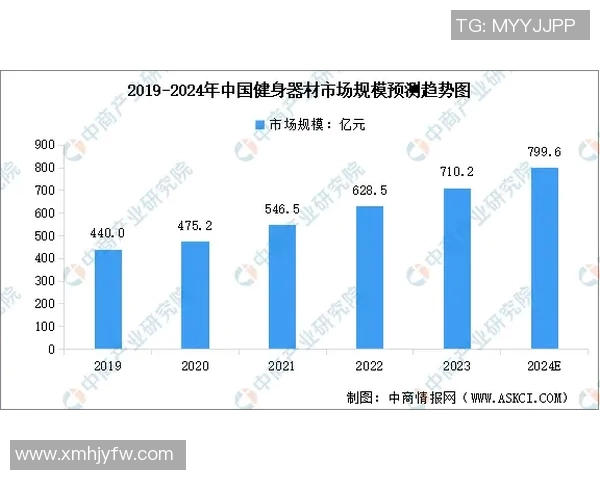 健身器材拉力器价格分析与市场趋势探讨适合不同需求的选择指南